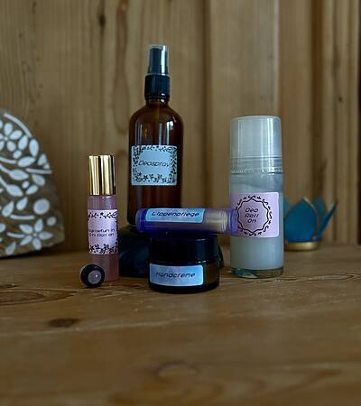 Workshop 1 Workshop 1